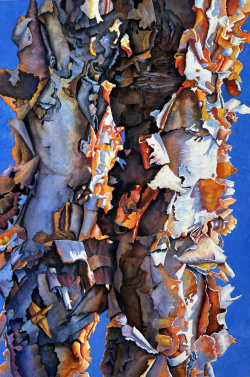 Accetta_Colors of Separation