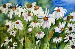 Archambault_Field of Flowers