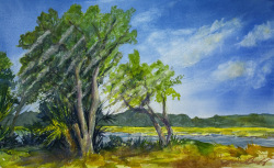 Buzby_Lowcountry Breeze