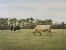 Caudill_Evening Graze