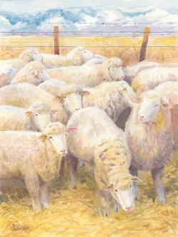 Heidler_Wooly Buggers