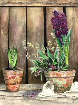 Konicki_Early Blooms