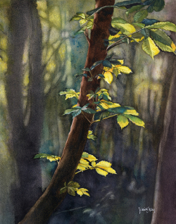 Lily_Into the Valley