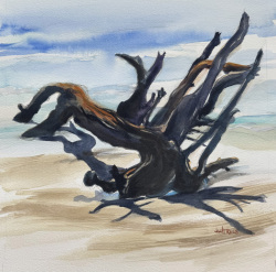 Rees_Boneyard at Botany Bay