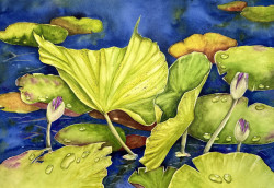 Rosas-Rasdall_Emerge & Embrace