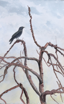 Simms_Apple Tree in Spring