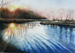 Spencer_Glowing Wetlands