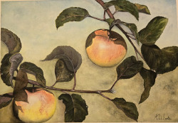 Weeks_Late Summer Harvest