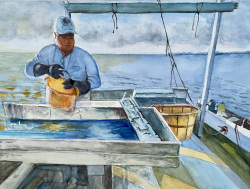 Wellein_Island Oysterman