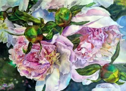 Axelson - Peony III