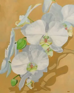 Edwards - The Rebloom