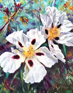 Pyner - Those Anemones