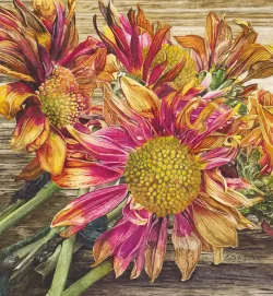 Quinn - Fading Beauty