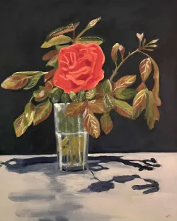 Saunders - Rose Still Life