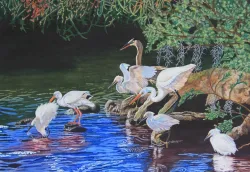 Watson - Popular Fishing Spot